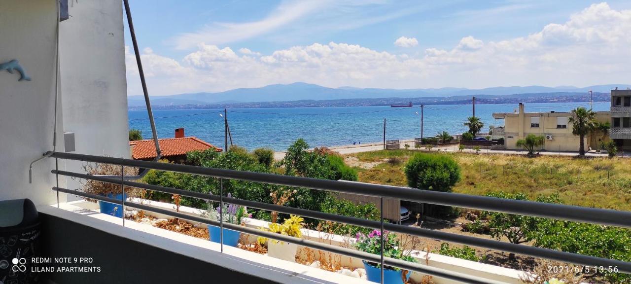 Liland Beachfront Lefkandi Chalkidas Extérieur photo